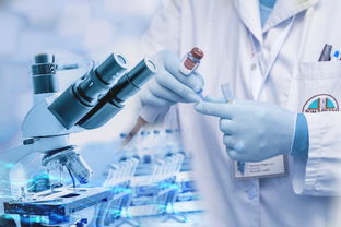 上?；瘖y品加工廠 如何通過基礎軟件服務提升生產效能與合規管理