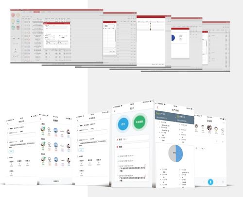 廣州 基礎軟件服務產業發展的沃土與引擎