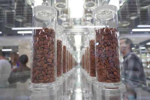 廣東一方制藥 創新中藥配方顆粒，科技賦能傳統智慧